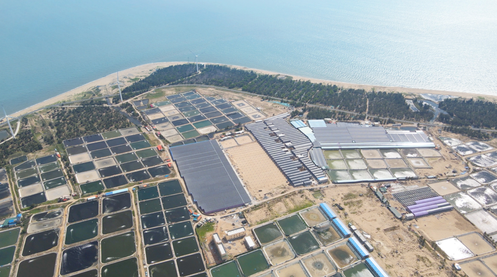 A coastal solar panel installation paired with Sigenergy batteries