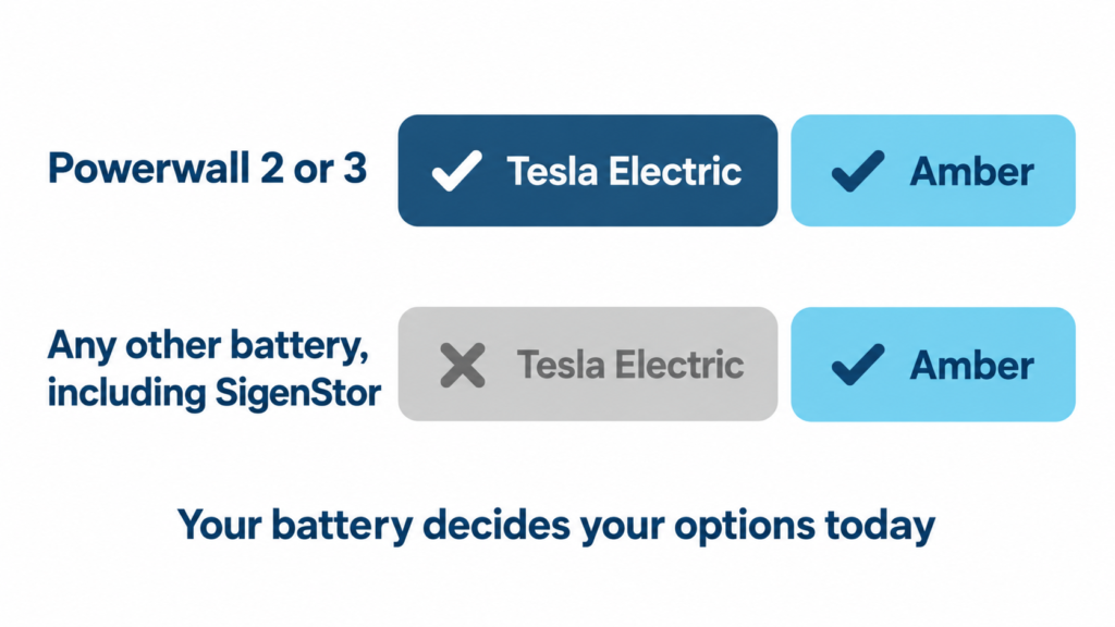 Tesla VPP vs Amber comparison: a Tesla Powerwall on one home's wall and a Sigenergy SigenStor on the neighbouring home, each wired to its own meter box and the shared power line.